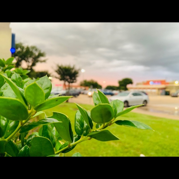 alexac0403